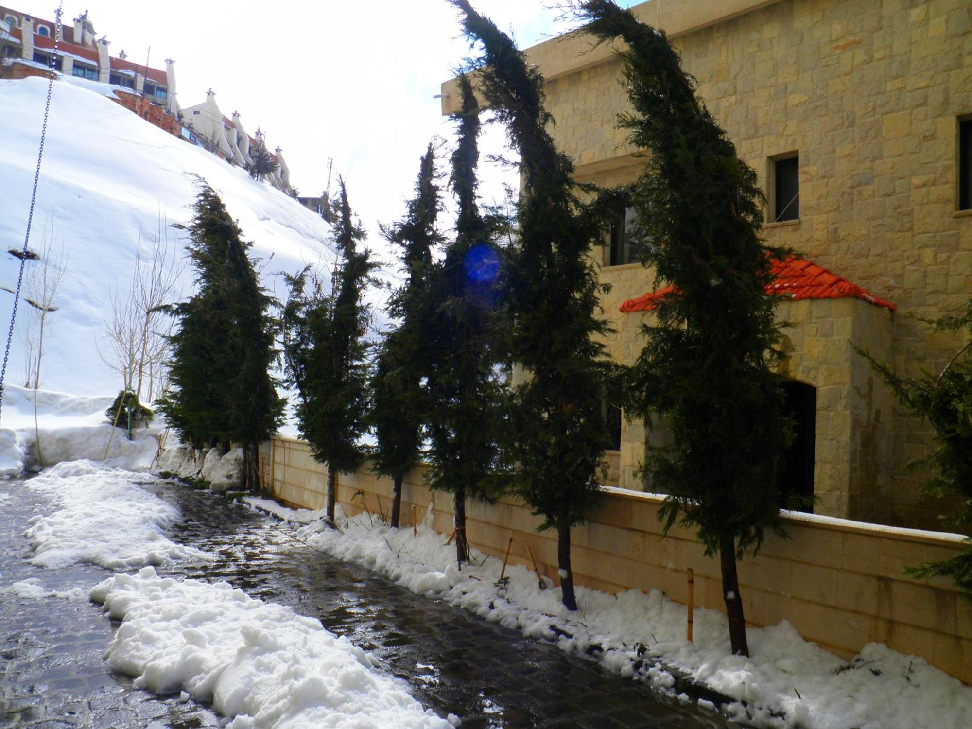 Stone Chalets Fārayyā Εξωτερικό φωτογραφία